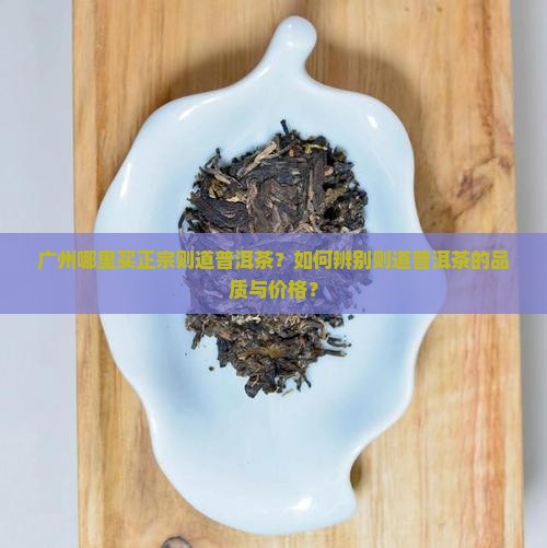 广州哪里买正宗则道普洱茶？如何辨别则道普洱茶的品质与价格？