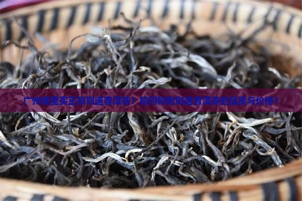 广州哪里买正宗则道普洱茶？如何辨别则道普洱茶的品质与价格？
