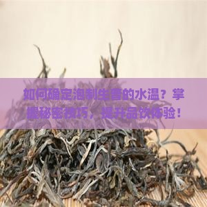 如何确定泡制生普的水温？掌握秘密技巧，提升品饮体验！