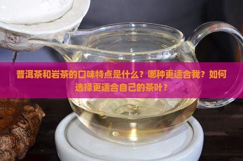 普洱茶和岩茶的口味特点是什么？哪种更适合我？如何选择更适合自己的茶叶？