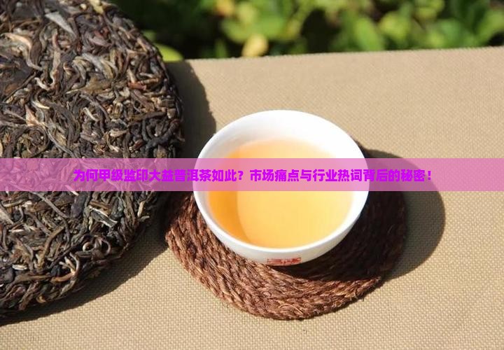 为何甲级监印大益普洱茶如此？市场痛点与行业热词背后的秘密！
