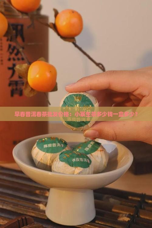 早春普洱春茶批发价格：小寨生茶多少钱一盒多少？