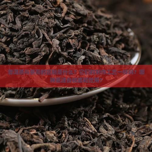普洱茶与茶膏的区别是什么？它们的制作工艺一样吗？哪种更适合收藏和饮用？