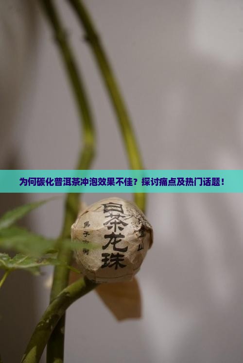 为何碳化普洱茶冲泡效果不佳？探讨痛点及热门话题！