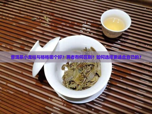 普洱茶小龙柱与格格哪个好？两者有何区别？如何选择更适合自己的？