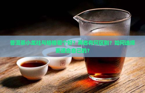 普洱茶小龙柱与格格哪个好？两者有何区别？如何选择更适合自己的？