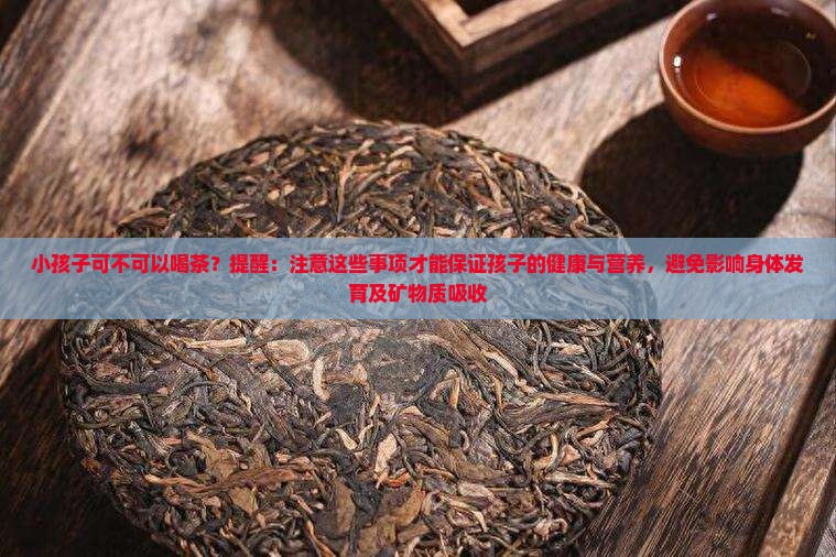 小孩子可不可以喝茶？提醒：注意这些事项才能保证孩子的健康与营养，避免影响身体发育及矿物质吸收