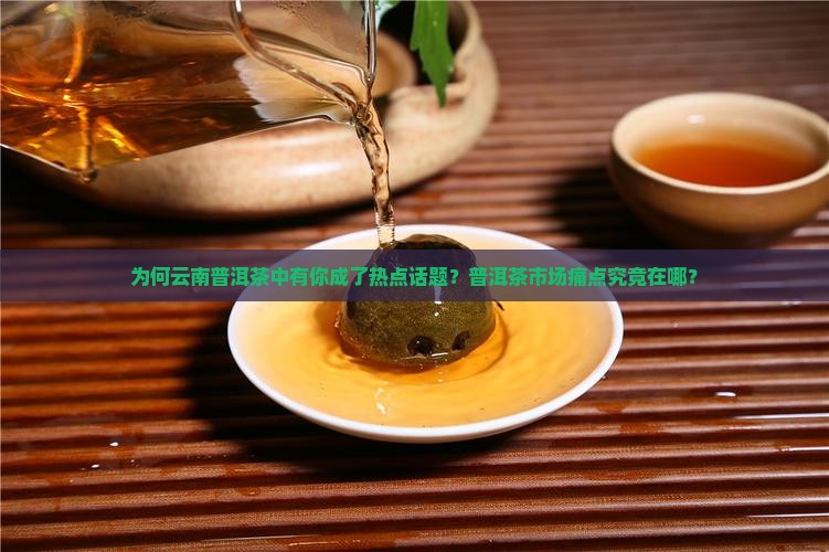 为何云南普洱茶中有你成了热点话题？普洱茶市场痛点究竟在哪？