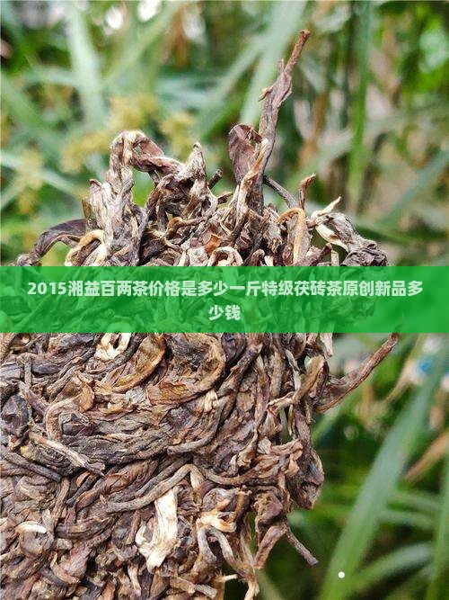 2015湘益百两茶价格是多少一斤特级茯砖茶原创新品多少钱