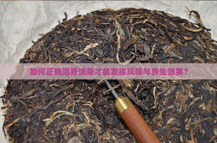 如何正确泡普洱茶才能发挥风味与养生效果？