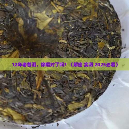 12年的大叶普洱茶