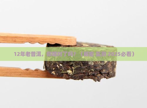 12年的大叶普洱茶