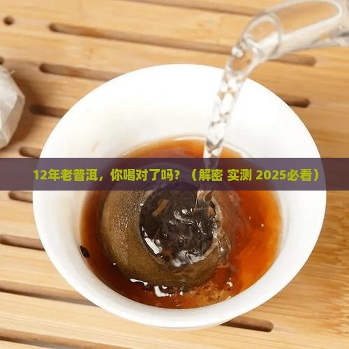 12年的大叶普洱茶