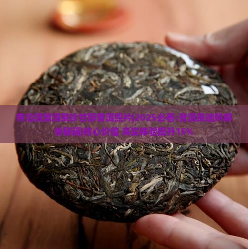 帝泊洱普洱茶珍甘醇普洱照片