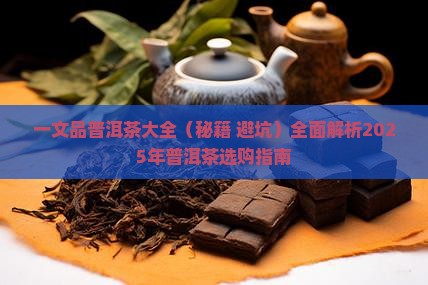 一文品普洱茶大全