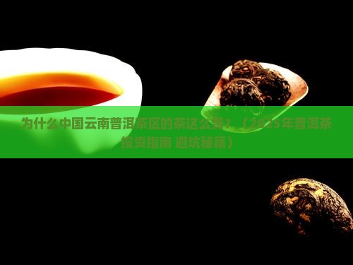 中国云南普洱茶区