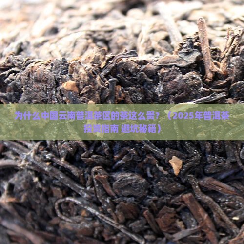 中国云南普洱茶区