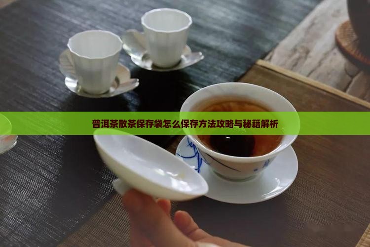 普洱茶散茶保存袋怎么保存