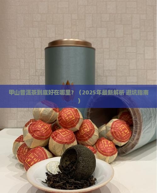 甲山普洱茶特点