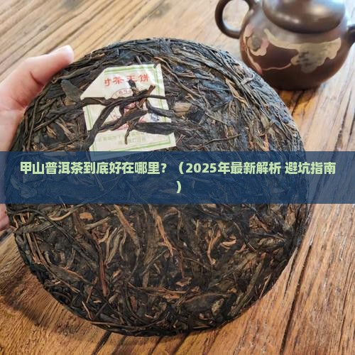 甲山普洱茶特点