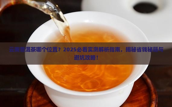 云南普洱茶哪个位置 云南普洱茶哪个位置