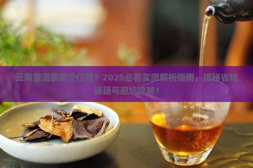 云南普洱茶哪个位置 云南普洱茶哪个位置