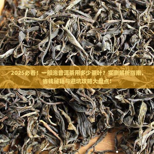 一般泡普洱茶用多少茶叶