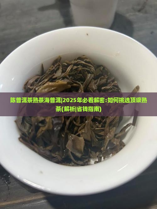 陈普洱茶熟茶海普洱