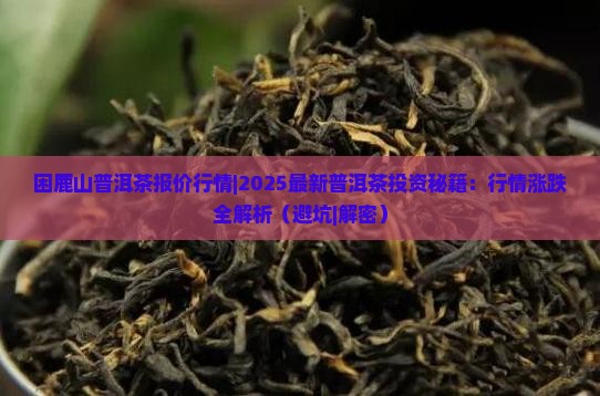 困鹿山普洱茶报价行情