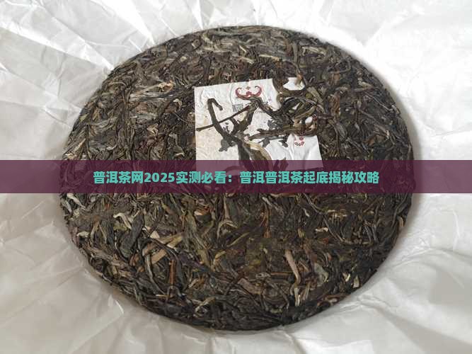 1878皇封普洱茶网