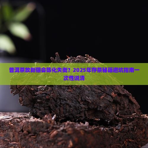 普洱茶在新疆存放时间
