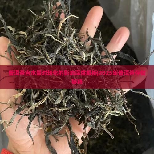 普洱茶含水量对转化的影响 普洱茶含水量对转化的影响