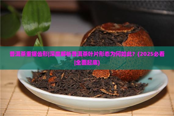 普洱茶重锯齿形