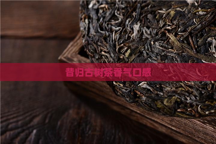 昔归古树茶香气口感