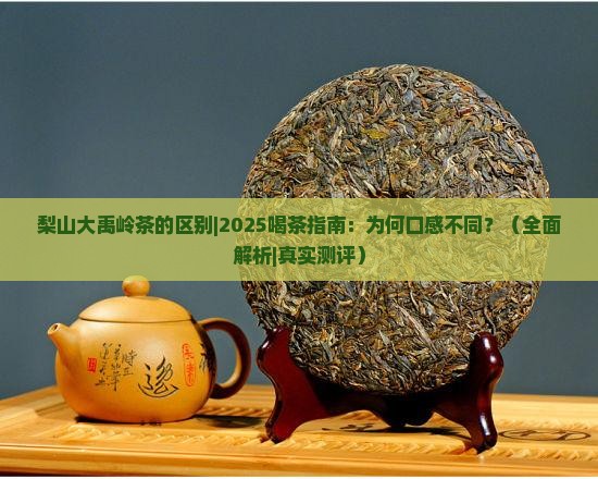 梨山大禹岭茶的区别