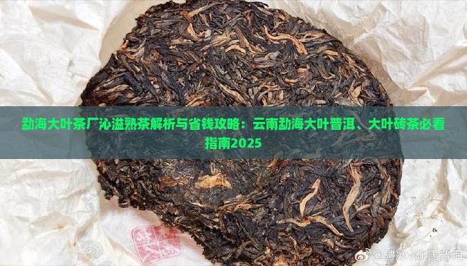 勐海大叶茶厂沁溢熟茶