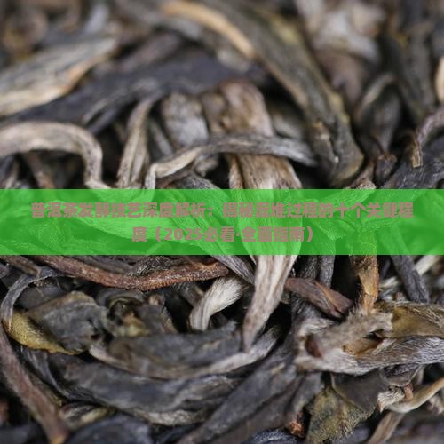 普洱茶的渥堆的十个程度