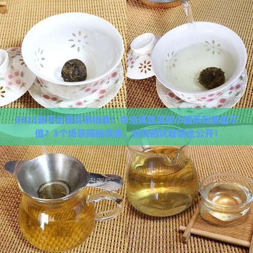 中泊洱普洱茶小罐茶好吗