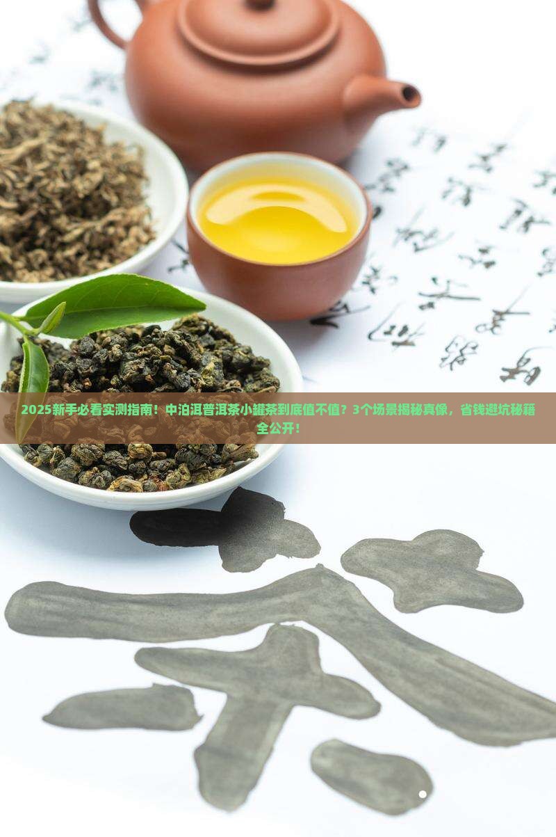 中泊洱普洱茶小罐茶好吗