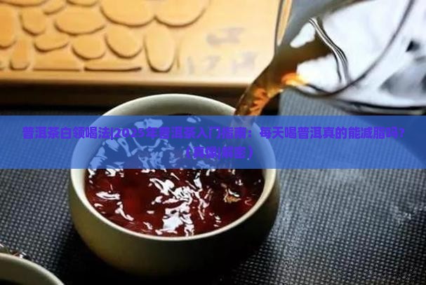 普洱茶白领喝法