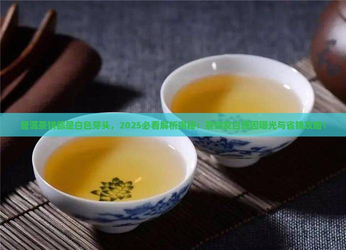 普洱茶饼都是白色芽头