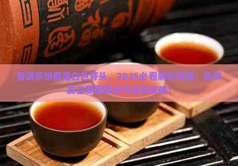 普洱茶饼都是白色芽头
