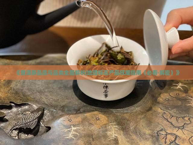 普洱茶的品质与品类介绍