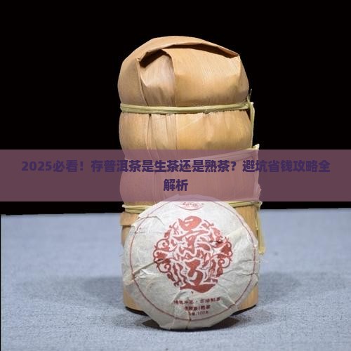 存普洱茶是生茶还是熟茶