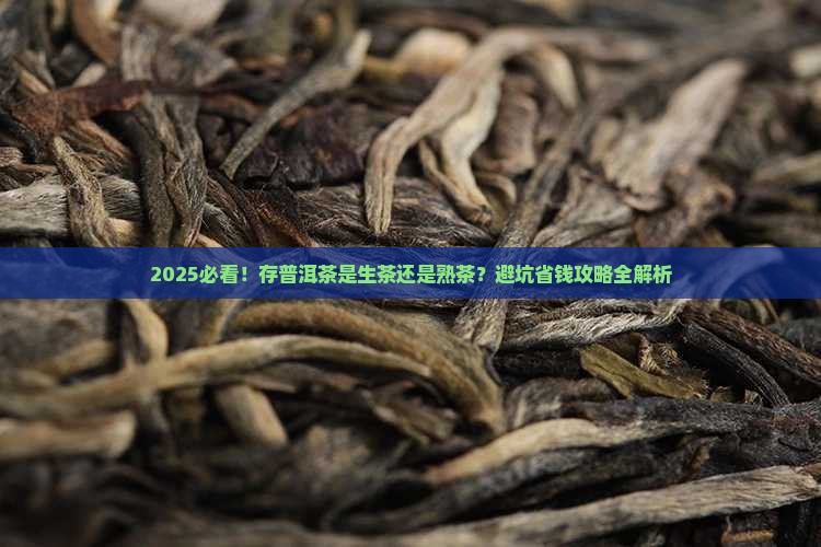 存普洱茶是生茶还是熟茶