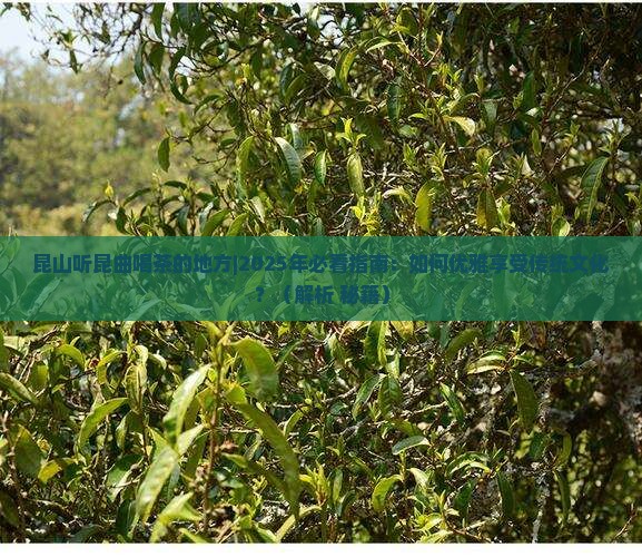 昆山听昆曲喝茶的地方