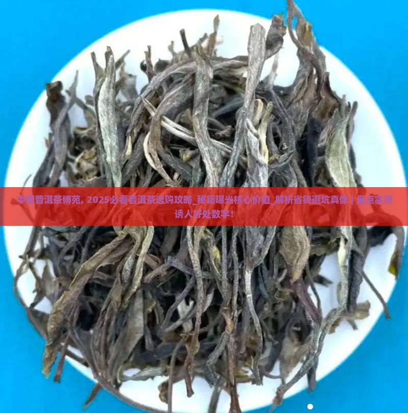 中国普洱茶博苑 中国普洱茶博苑