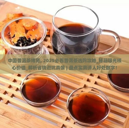 中国普洱茶博苑 中国普洱茶博苑