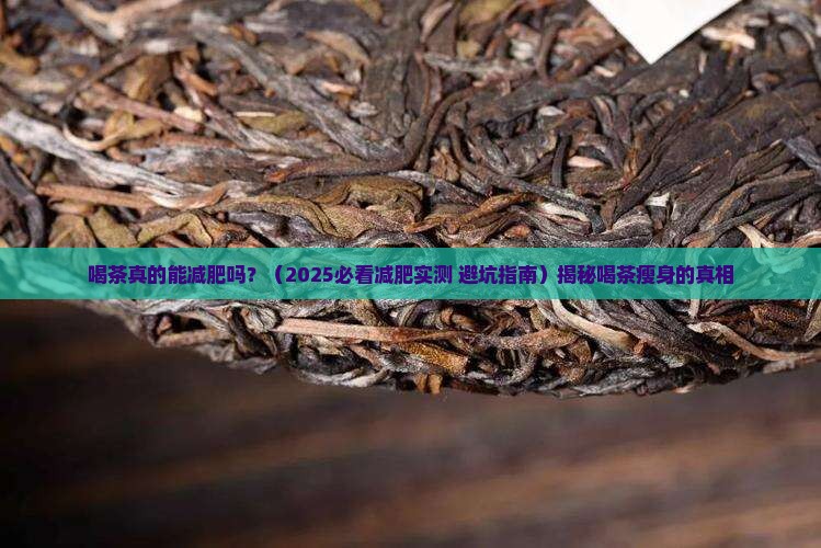 喝茶真的能减肥吗