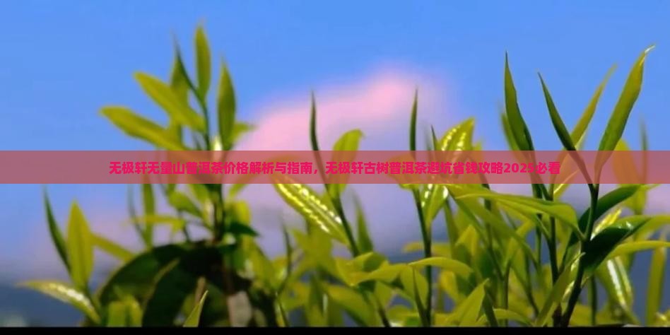 无极轩无量山普洱茶